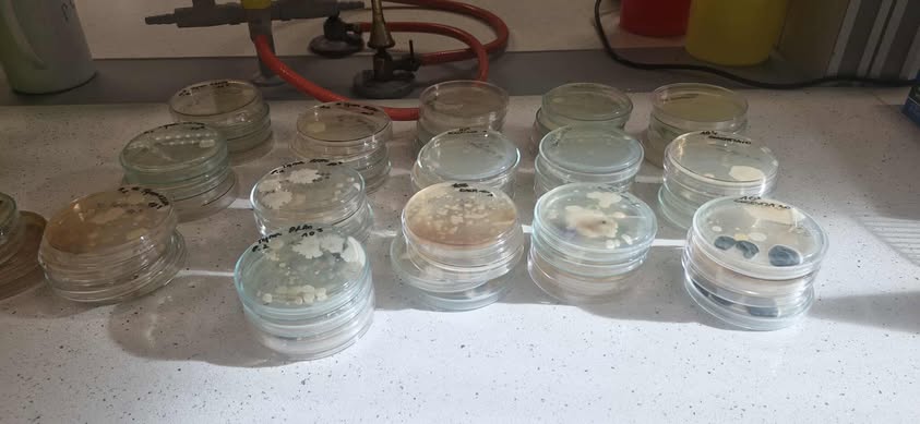 prace w laboratorium