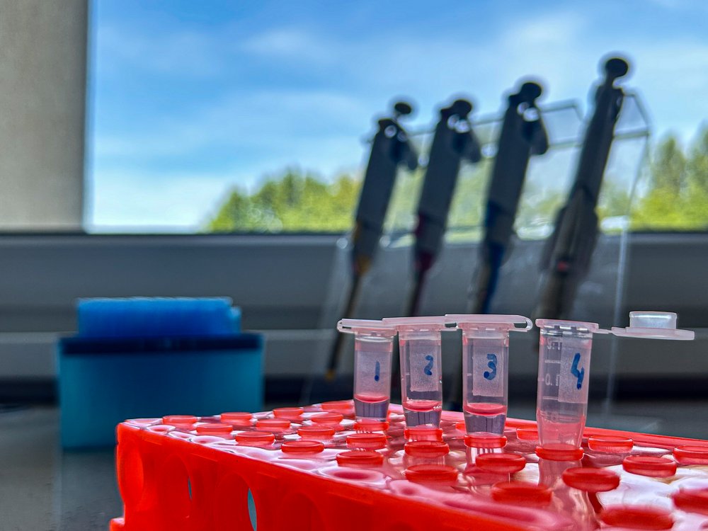 zdjęcie przyrządów w laboratorium