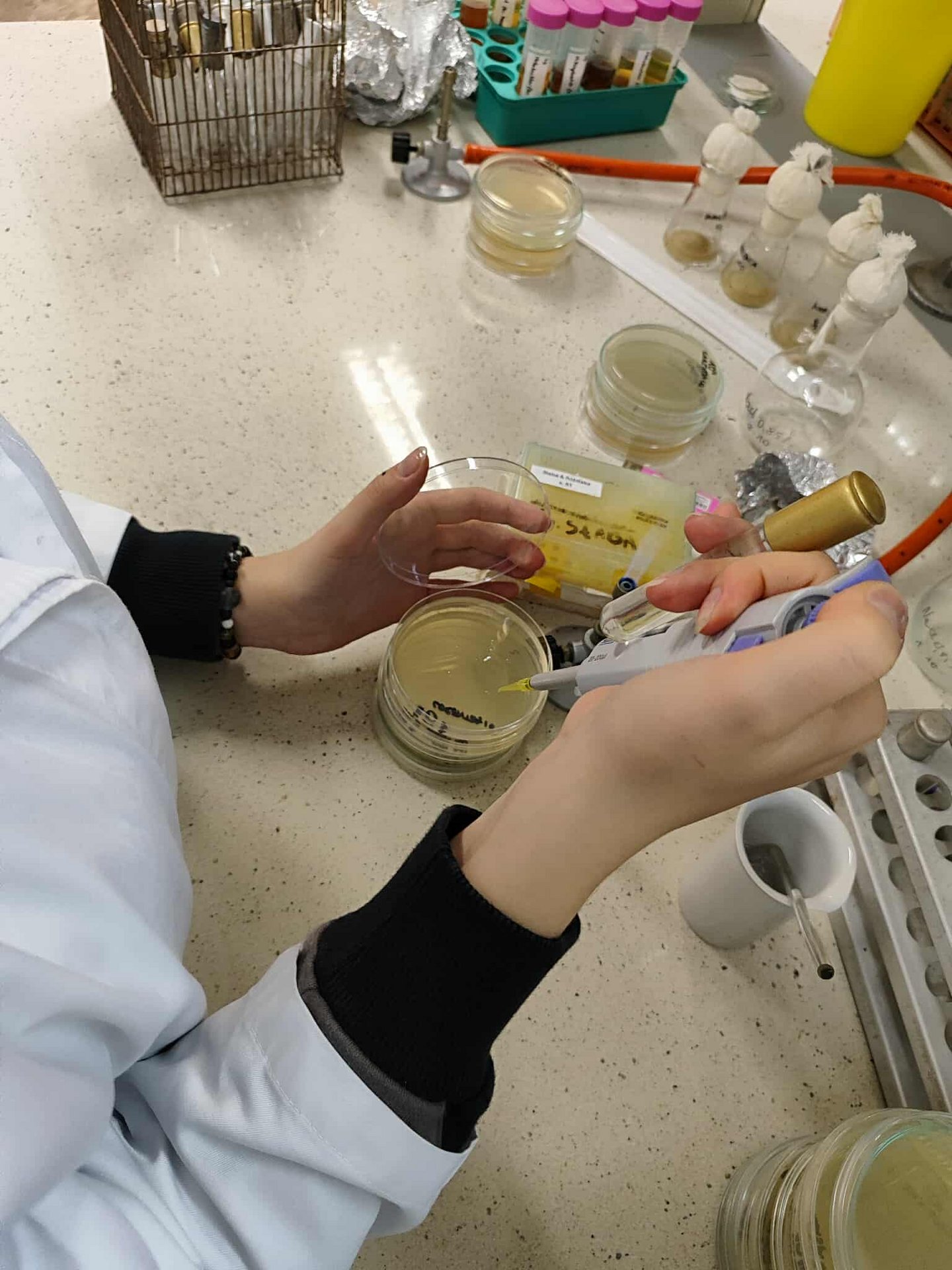[Translate to English:] prace w laboratorium