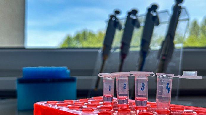 zdjęcie przyrządów w laboratorium