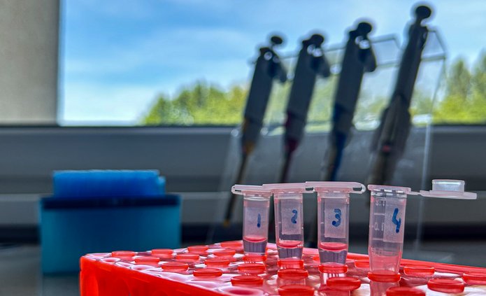 zdjęcie przyrządów w laboratorium