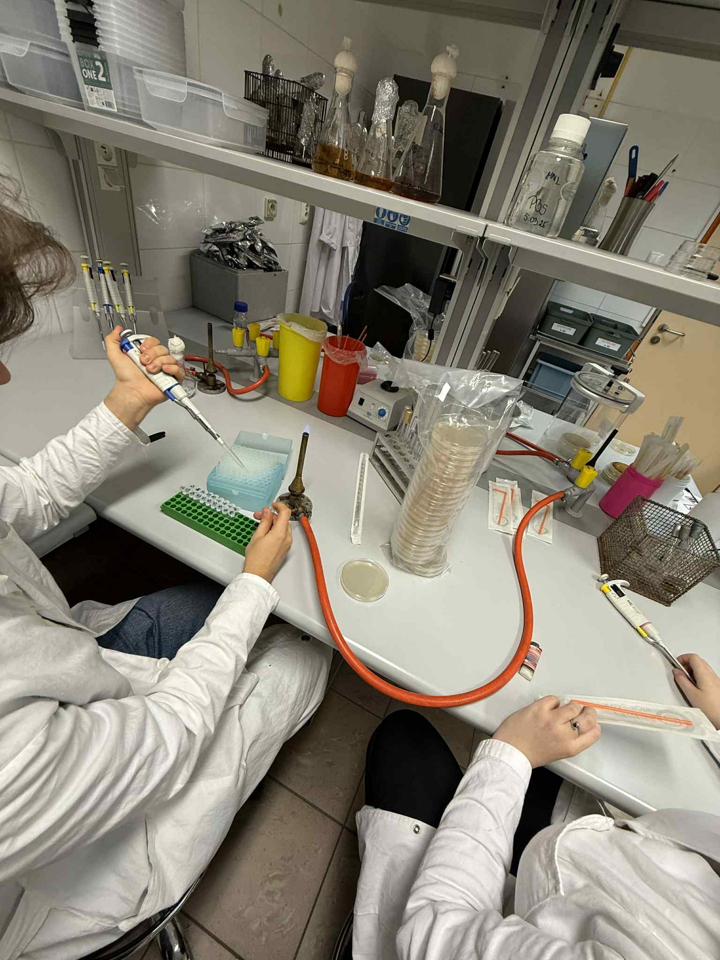 working in a lab