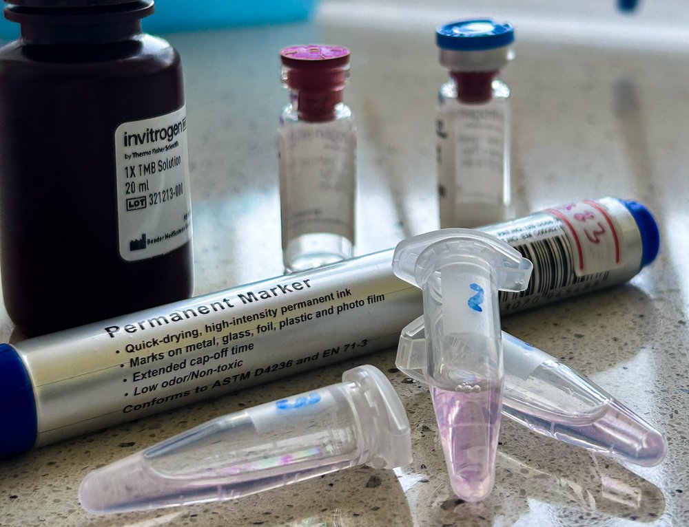 zdjęcie przyrządów w laboratorium