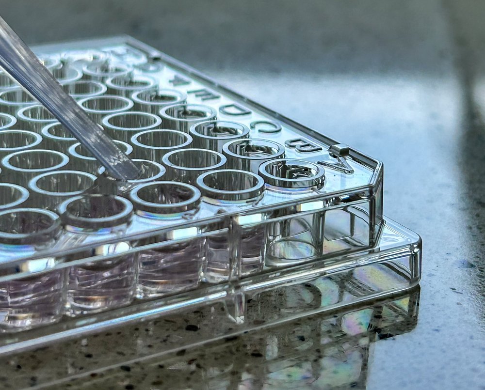 zdjęcie przyrządów w laboratorium