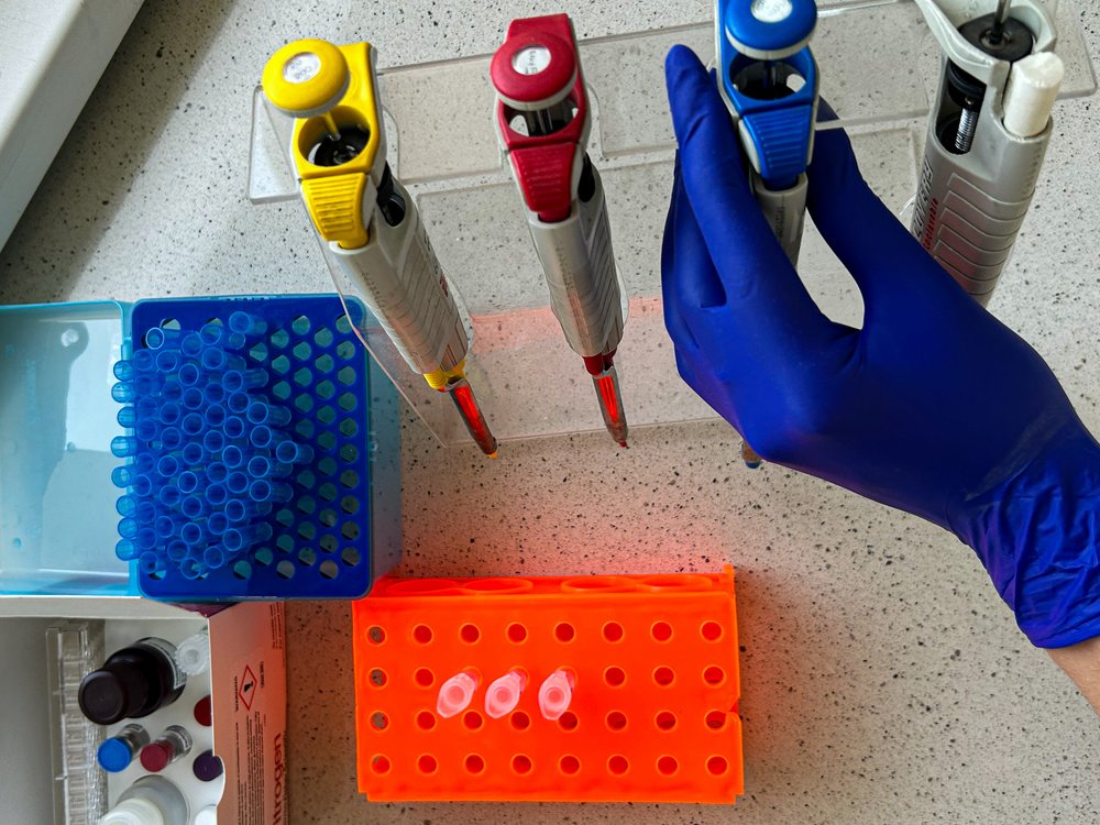 zdjęcie przyrządów w laboratorium